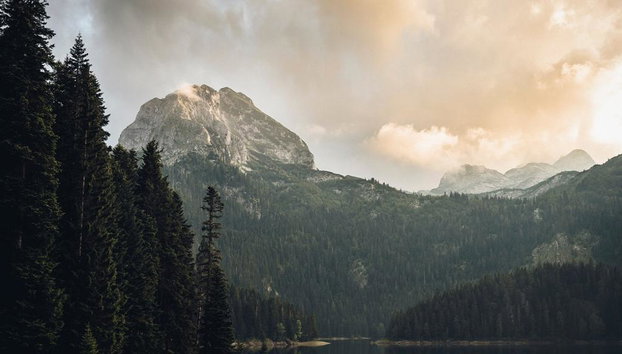 Tour do Norte de Montenegro: Žabljak, Parque Nacional de Durmitor, Lago Negro e Ponte Đurđevića Tara - Foto 2